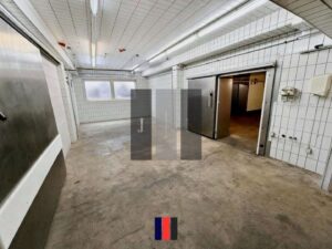 Halle Innen 2 (Visual)