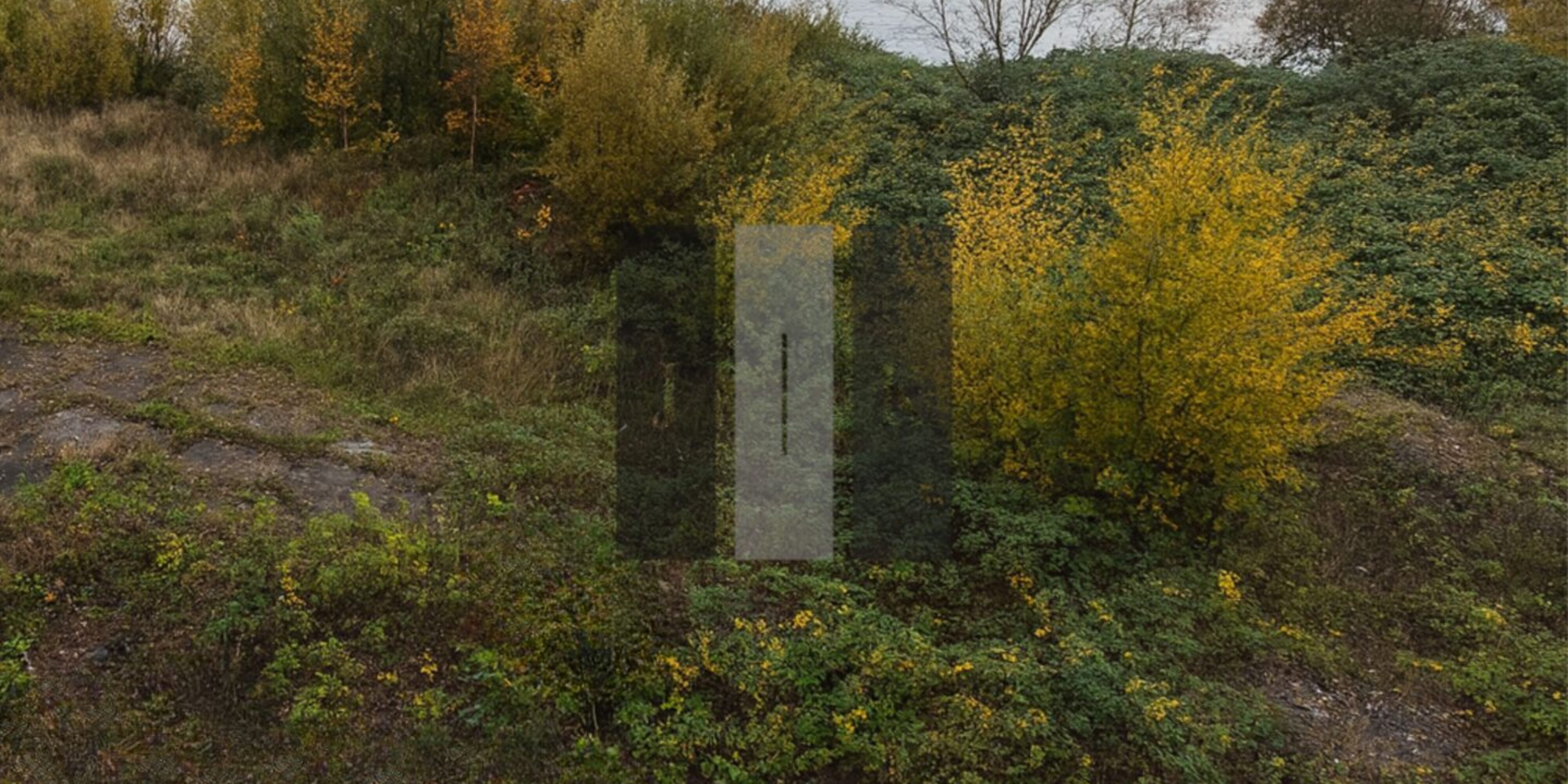 Titelbild - Visualisierung